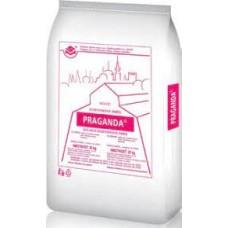 Dusitanová soliaca zmes Praganda 25 kg