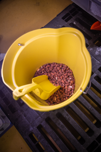 5677 Ručná lopatka 0,5L